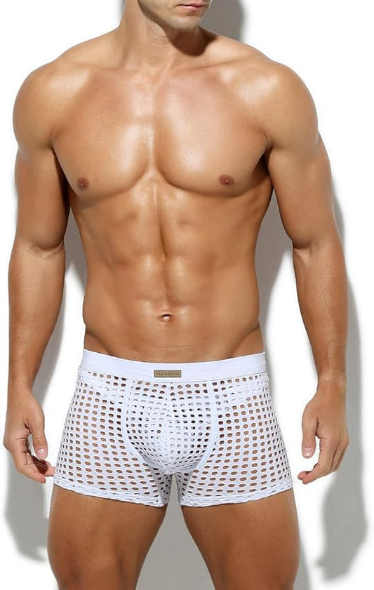 Arjen Kroos Men's Sexy Underwear Mesh Breathable Boxer Briefs Soft Stretch Trunks